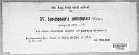 Leptosphaeria multiseptata image
